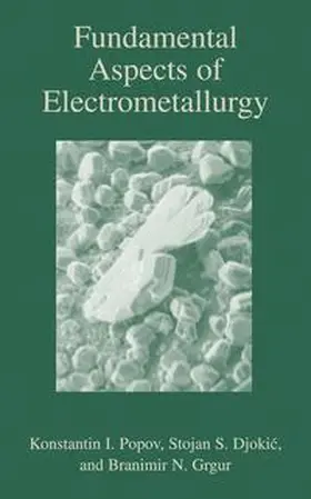 Popov / Grgur / Djokic |  Fundamental Aspects of Electrometallurgy | Buch |  Sack Fachmedien