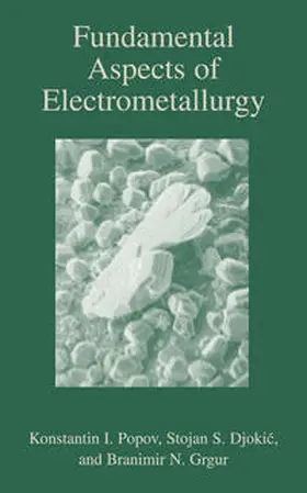 Popov / Grgur / Djokic |  Fundamental Aspects of Electrometallurgy | eBook | Sack Fachmedien