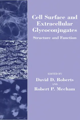  Cell Surface and Extracellular Glycoconjugates | eBook | Sack Fachmedien