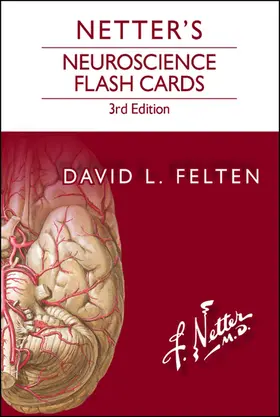  Netter's Neuroscience Flash Cards E-Book | eBook | Sack Fachmedien