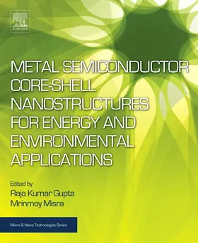 Gupta / Misra | Metal Semiconductor Core-Shell Nanostructures for Energy and Environmental Applications | Buch | 978-0-323-44922-9 | sack.de