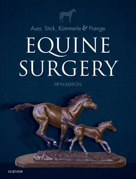 Auer / Stick |  Equine Surgery | Buch |  Sack Fachmedien