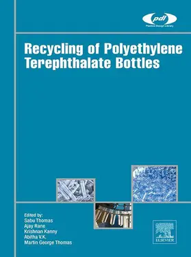 Thomas / Rane / Kanny |  Recycling of Polyethylene Terephthalate Bottles | eBook | Sack Fachmedien