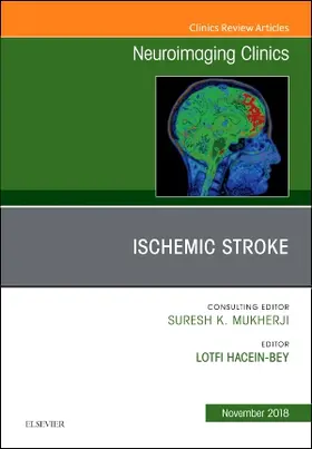 Hacein-Bey |  Ischemic Stroke, an Issue of Neuroimaging Clinics of North America | Buch |  Sack Fachmedien
