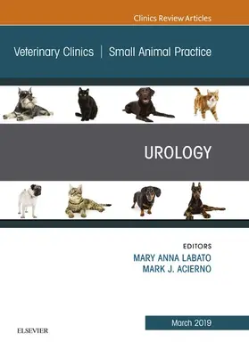Labato / Acierno |  Urology, An Issue of Veterinary Clinics of North America: Small Animal Practice | eBook | Sack Fachmedien
