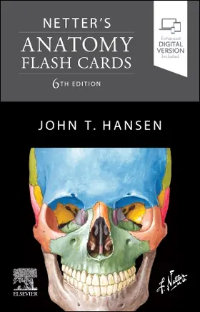 Hansen |  Netter's Anatomy Flash Cards | Sonstiges |  Sack Fachmedien