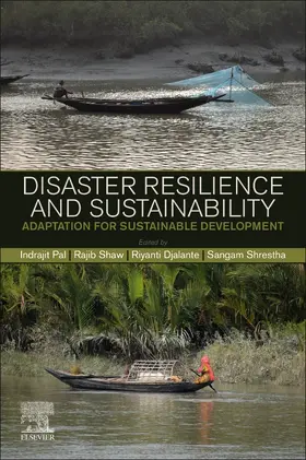 Djalante / Shaw / Pal |  Disaster Resilience and Sustainability | Buch |  Sack Fachmedien