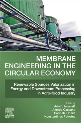 Iulianelli / Cassano / Conidi |  Membrane Engineering in the Circular Economy | Buch |  Sack Fachmedien