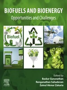 Gurunathan / Sahadevan / Zakaria | Biofuels and Bioenergy | E-Book | sack.de