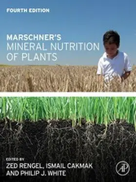 Rengel / Cakmak / White |  Marschner's Mineral Nutrition of Plants | eBook | Sack Fachmedien