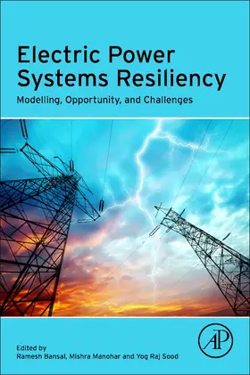 Mishra / Bansal / Raj Sood |  Electric Power Systems Resiliency | Buch |  Sack Fachmedien