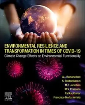 Ramanathan / Sabarathinam / Jonathan |  Environmental Resilience and Transformation in times of COVID-19 | eBook | Sack Fachmedien