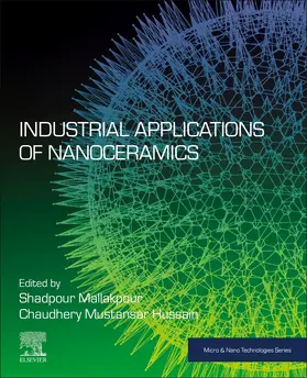 Mallakpour / Mustansar Hussain | Industrial Applications of Nanoceramics | Buch | 978-0-323-88654-3 | sack.de