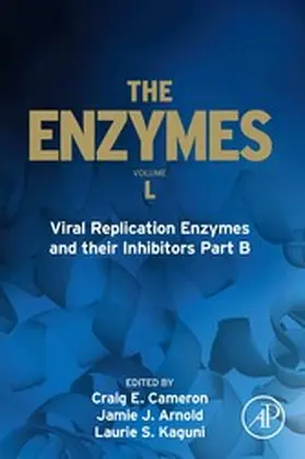  Viral Replication Enzymes and their Inhibitors Part B | eBook | Sack Fachmedien
