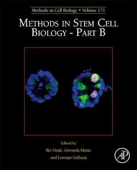 Methods in Stem Cell Biology - Part B | Buch | 978-0-323-90018-8 | www2.sack.de