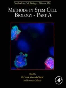 Vitale / Manic / Galluzzi |  Methods in Stem Cell Biology - Part A | eBook | Sack Fachmedien