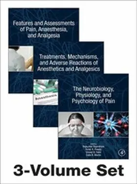 Rajendram AKC / Rajendram / Patel |  The Neuroscience of Pain, Anesthetics, and Analgesics | eBook | Sack Fachmedien