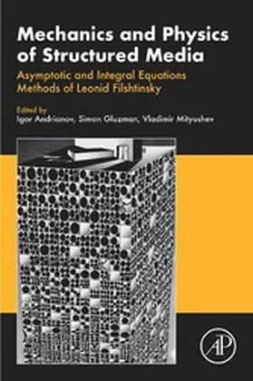 Andrianov / Gluzman / Mityushev |  Mechanics and Physics of Structured Media | eBook | Sack Fachmedien