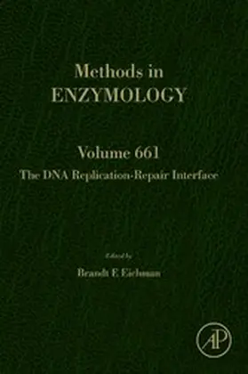 Eichman |  The DNA Replication-Repair Interface | eBook | Sack Fachmedien
