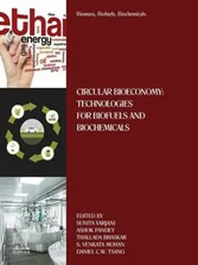 Varjani / Pandey / Bhaskar | Biomass, Biofuels, Biochemicals | E-Book | sack.de