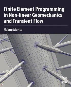 Morita |  Finite Element Programming in Non-linear Geomechanics and Transient Flow | Buch |  Sack Fachmedien