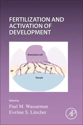 Current Topics in Developmental Biology | Buch | 978-0-323-91241-9 | www2.sack.de