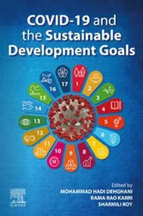 Hadi Dehghani / Karri / Roy |  COVID-19 and the Sustainable Development Goals | eBook | Sack Fachmedien