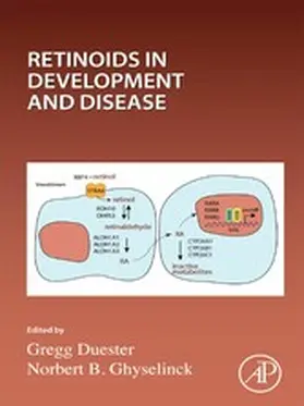 Ghyselinck / Duester |  Retinoids in Development and Disease | eBook | Sack Fachmedien