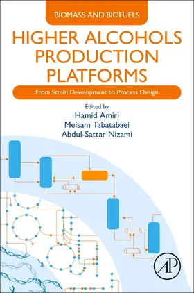 Amiri / Tabatabaei / Nizami |  Higher Alcohols Production Platforms | Buch |  Sack Fachmedien