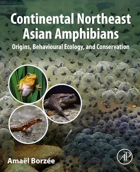 Borzée |  Continental Northeast Asian Amphibians | Buch |  Sack Fachmedien