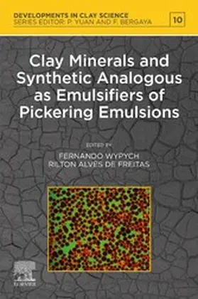 Wypych / Freitas | Clay Minerals and Synthetic Analogous as Emulsifiers of Pickering Emulsions | E-Book | sack.de