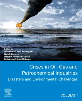 Rahimpour / Shirazi / Makarem |  Crises in Oil, Gas and Petrochemical Industries | Buch |  Sack Fachmedien