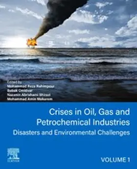 Rahimpour / Omidvar / Shirazi | Crises in Oil, Gas and Petrochemical Industries | E-Book | sack.de