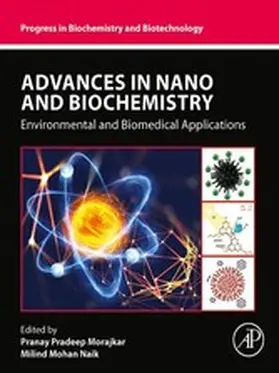 Morajkar / Naik |  Advances in Nano and Biochemistry | eBook | Sack Fachmedien