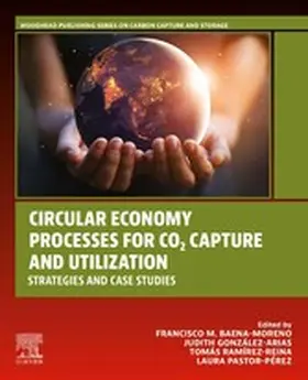 Baena-Moreno / González-Arias / Ramírez-Reina | Circular Economy Processes for CO2 Capture and Utilization | E-Book | sack.de