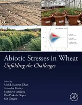 Khan / Pandey / Hamurcu | Abiotic Stresses in Wheat | E-Book | sack.de