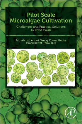 Rawat |  Pilot Scale Microalgae Cultivation | Buch |  Sack Fachmedien