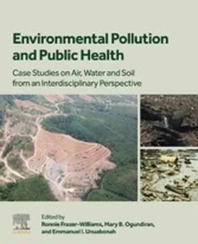 Frazer-Williams / Ogundiran / Unuabonah |  Environmental Pollution and Public Health | eBook | Sack Fachmedien