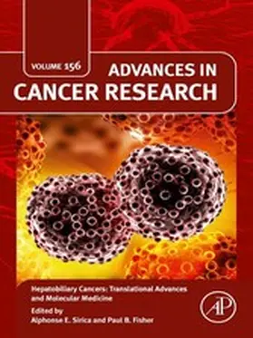  Hepatobiliary Cancers: Translational Advances and Molecular Medicine | eBook | Sack Fachmedien