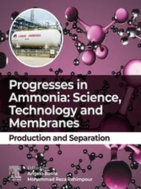 Basile / Rahimpour |  Progresses in Ammonia: Science, Technology and Membranes | eBook | Sack Fachmedien