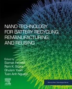 Farhad / Gupta / Yasin |  Nano Technology for Battery Recycling, Remanufacturing, and Reusing | eBook | Sack Fachmedien