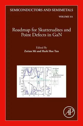  Roadmap for Skutterudites and Point Defects in GaN | Buch |  Sack Fachmedien