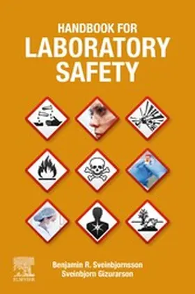 Sveinbjornsson / Gizurarson | Handbook for Laboratory Safety | E-Book | sack.de