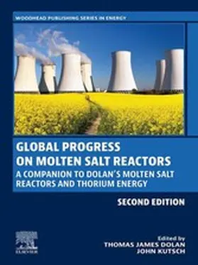 Dolan / Kutsch |  Global Progress on Molten Salt Reactors | eBook | Sack Fachmedien