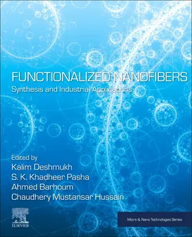 Barhoum / Deshmukh / Mustansar Hussain |  Functionalized Nanofibers | Buch |  Sack Fachmedien