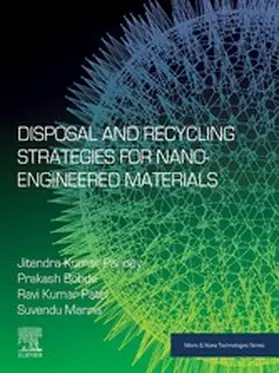 Pandey / Bobde / Patel |  Disposal and Recycling Strategies for Nano-engineered Materials | eBook | Sack Fachmedien