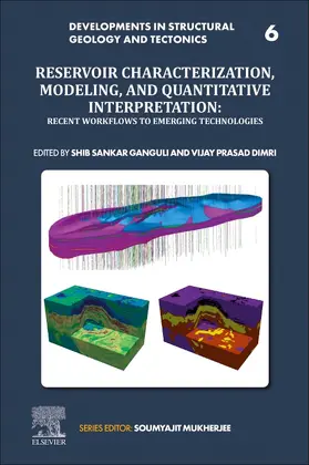 Dimri / Ganguli | Reservoir Characterization, Modeling and Quantitative Interpretation | Buch | 978-0-323-99593-1 | sack.de