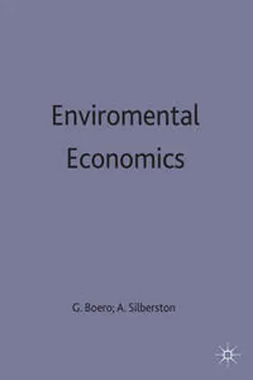 Boero / Silberston |  Environmental Economics | Buch |  Sack Fachmedien