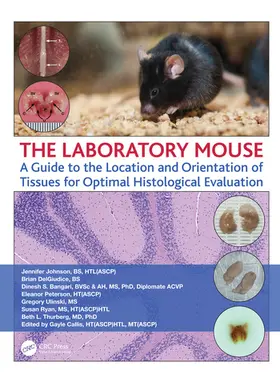 Johnson / DelGiudice / Peterson | The Laboratory Mouse | Buch | 978-0-367-17800-0 | www2.sack.de