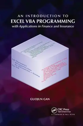 Gan |  An Introduction to Excel VBA Programming | Buch |  Sack Fachmedien